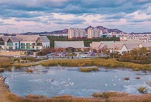 吃瓜每日大赛在线观看：揭秘娱乐圈焦点与真相背后